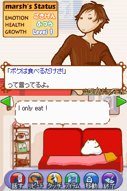 Fushigi No Dungeon: Furai No Shiren DS2 screenshot 3 for Nintendo DS